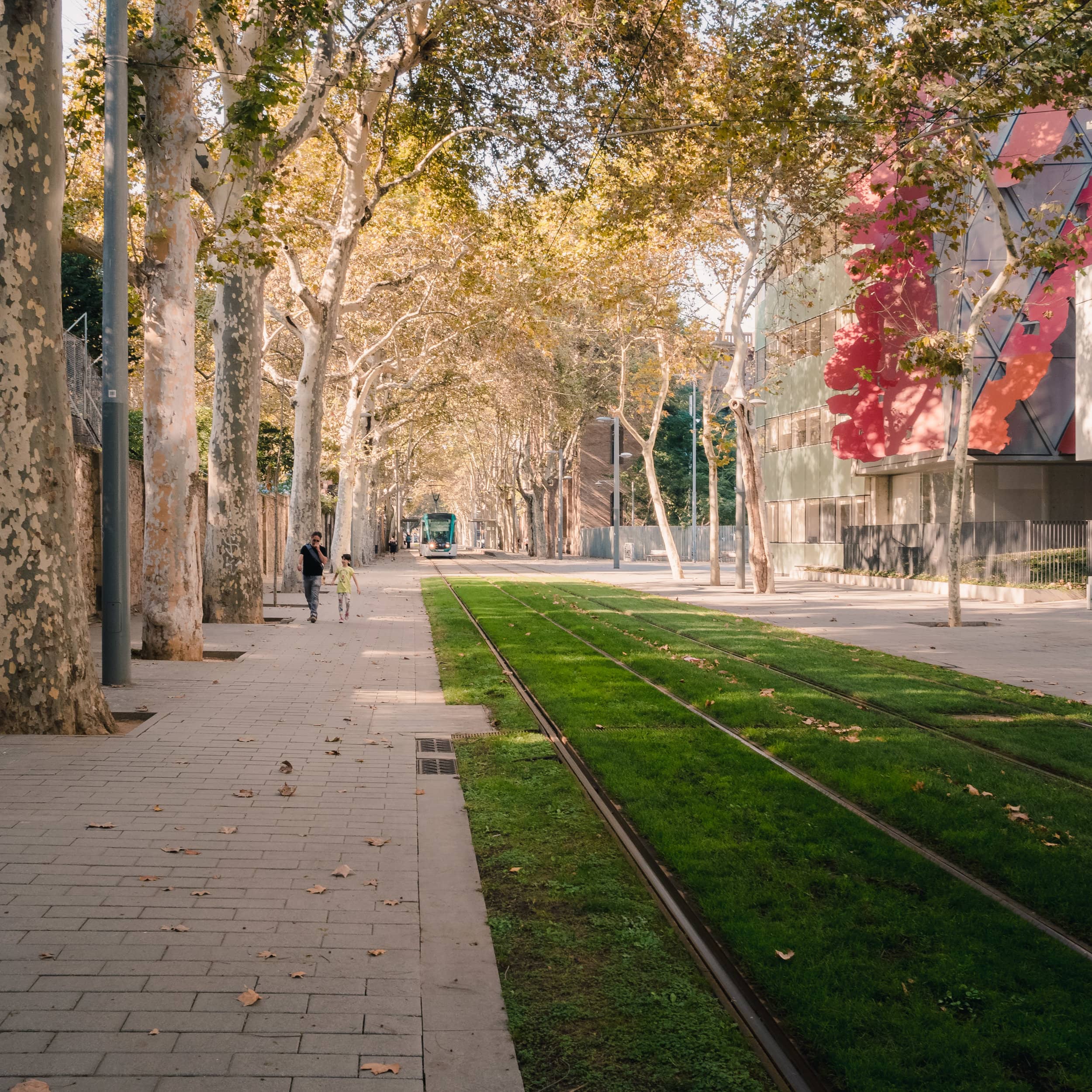 Peaceful Walking Paths
