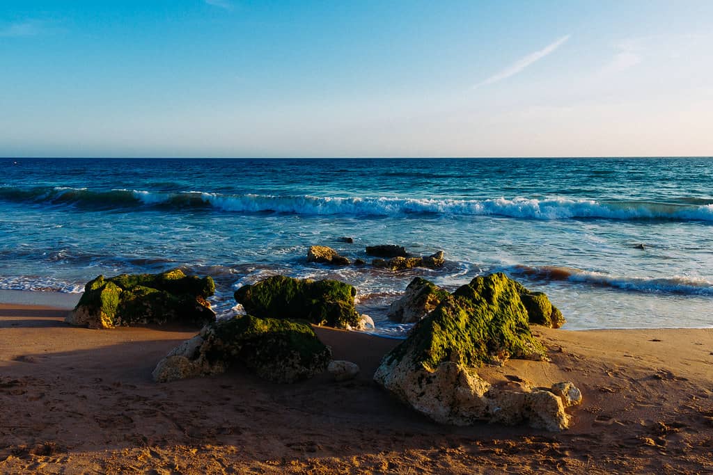 Adjacent Beach Access