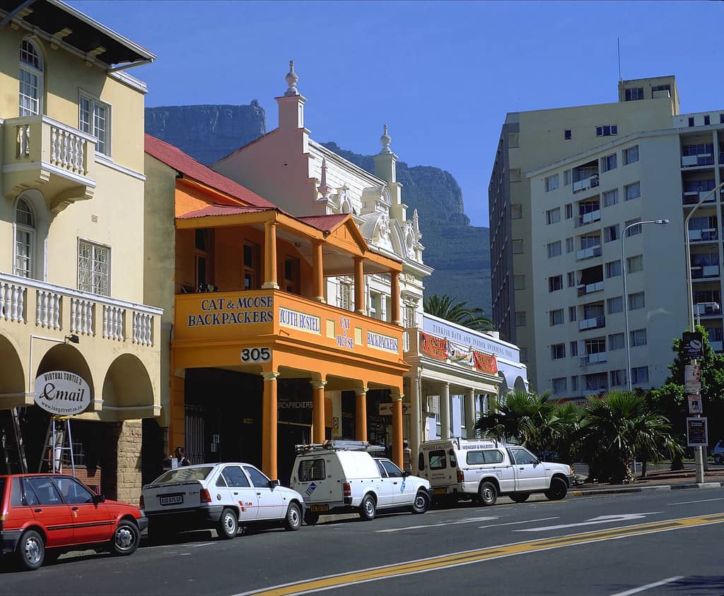 Artistic Expressions at Nel