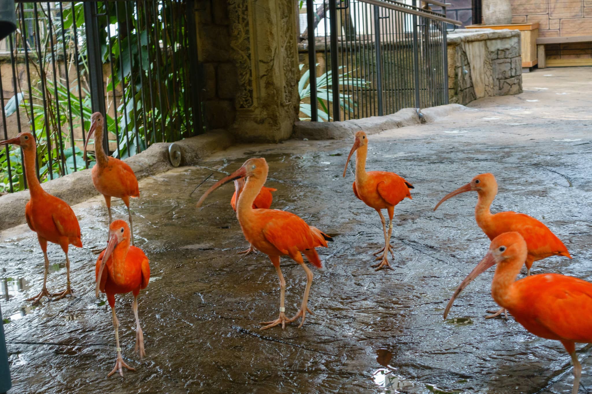 Animal Encounters