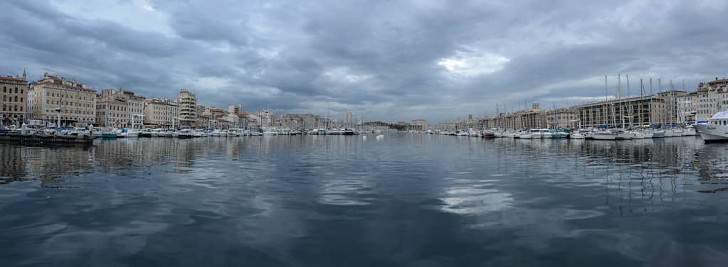 Festive Market Atmosphere