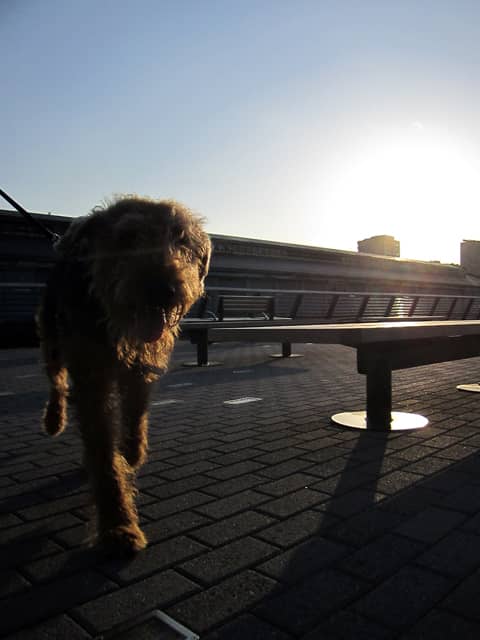 Waterfront Relaxation