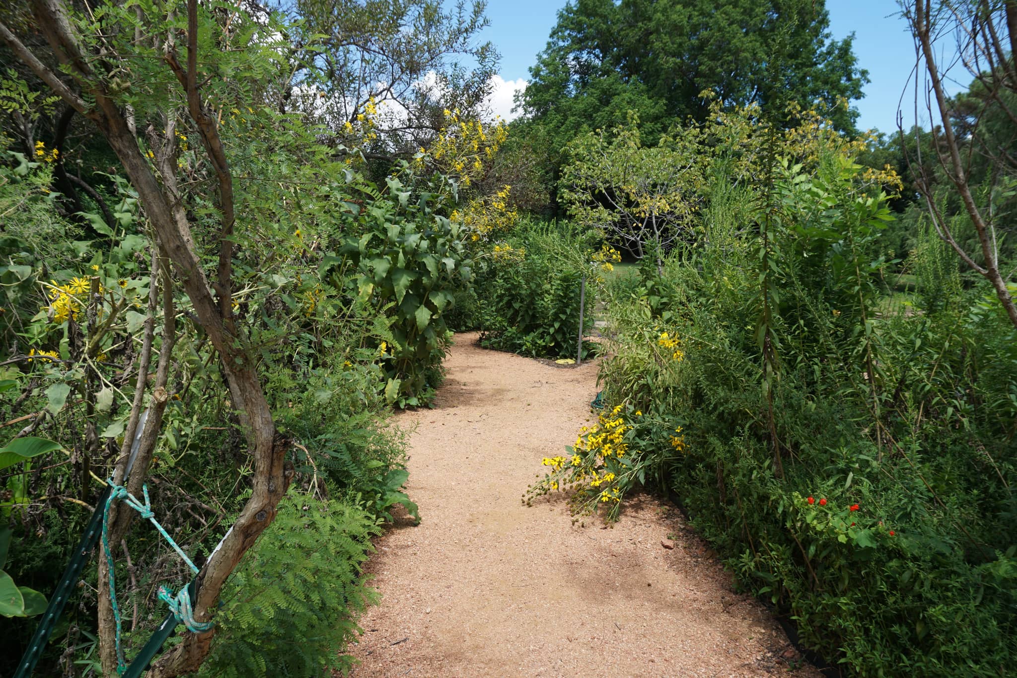 Butterfly Pavilion