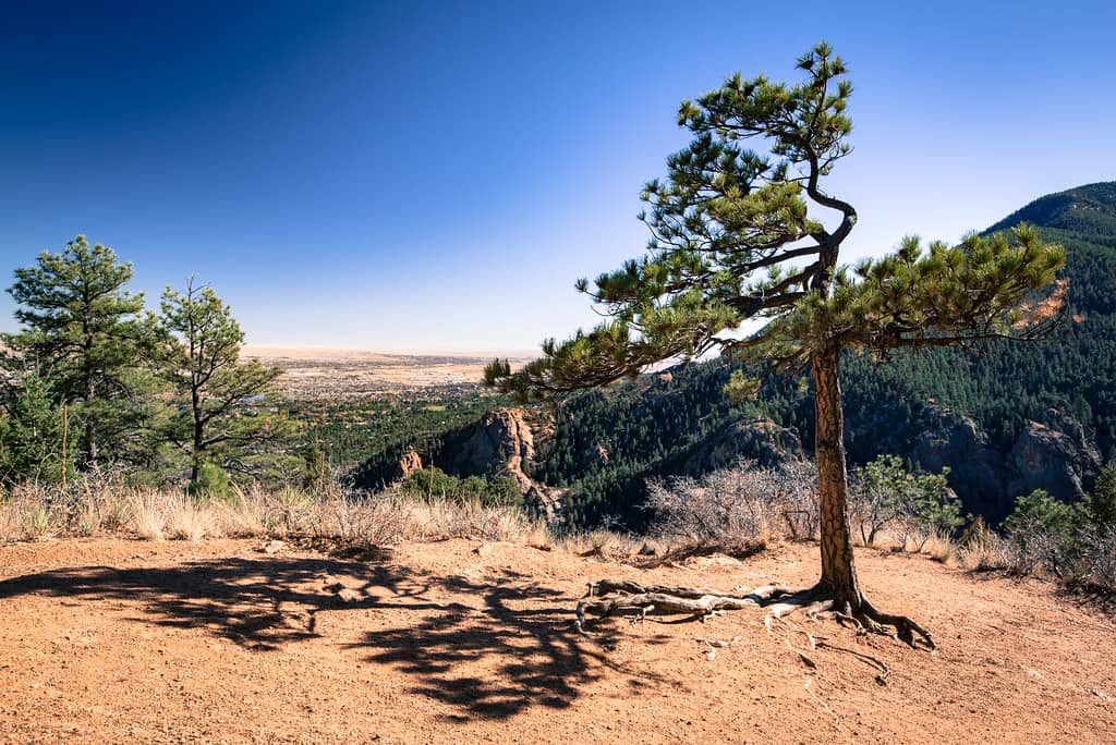 Cheyenne Canyon Trails
