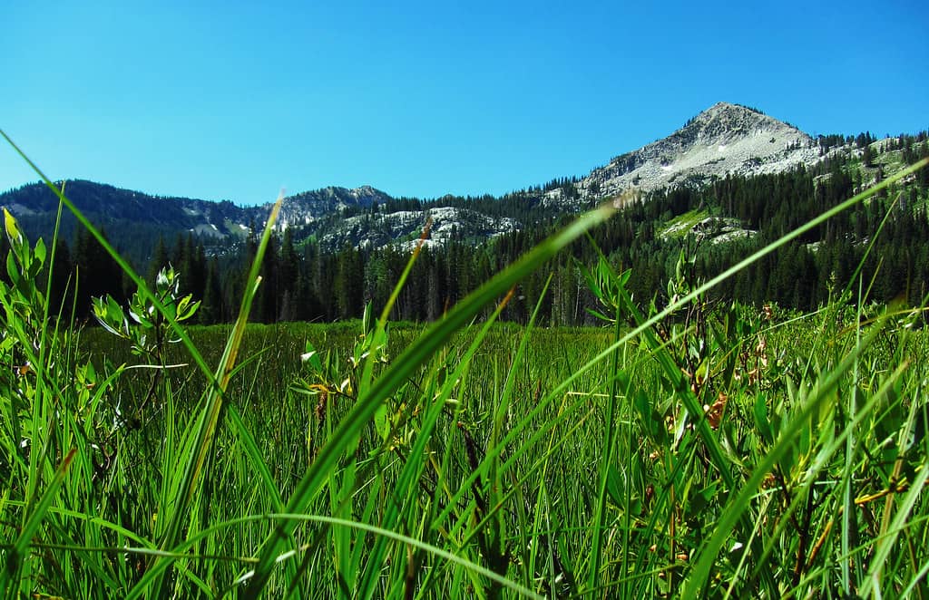 Silver Lake