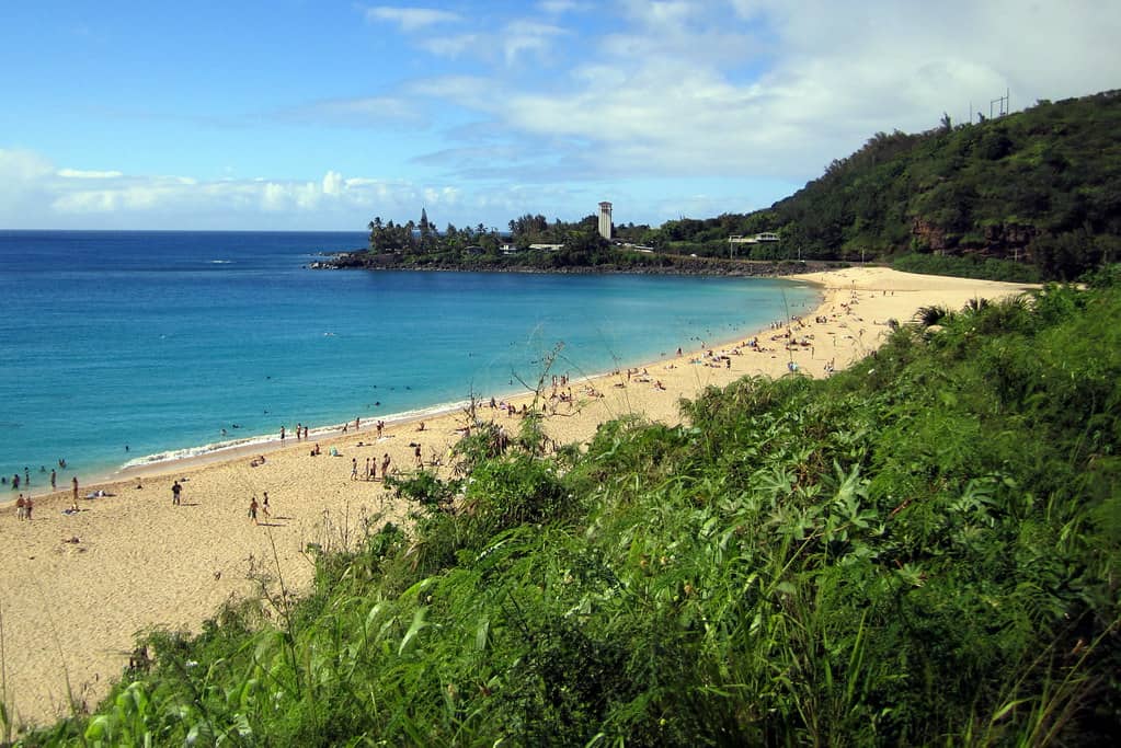 Summer Swimming Paradise