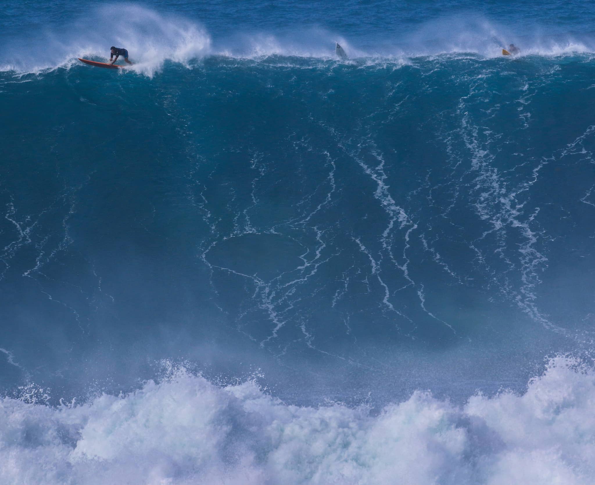 Winter Surf Spectacle