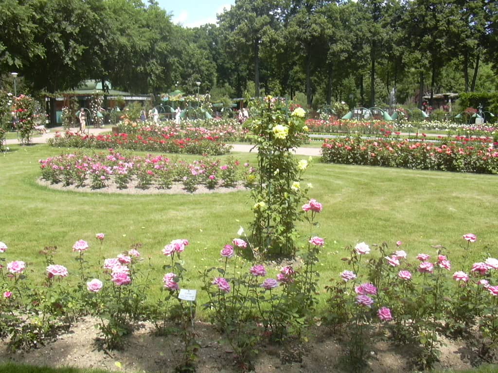 Parc de la Pépinière