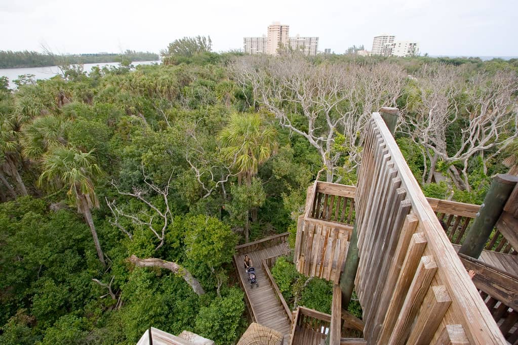 Wildlife Observation Tower