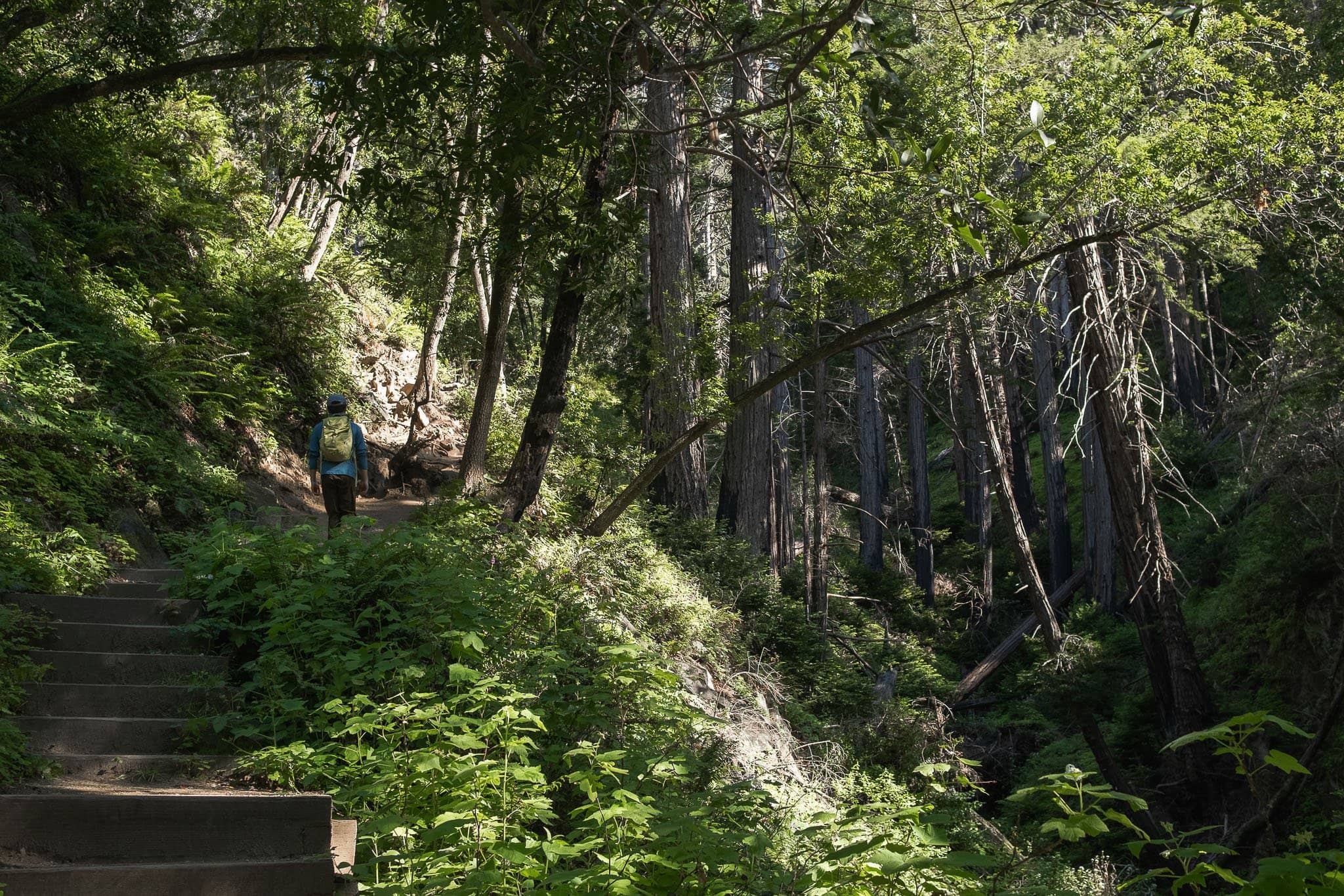 The Gorge Trail Adventure