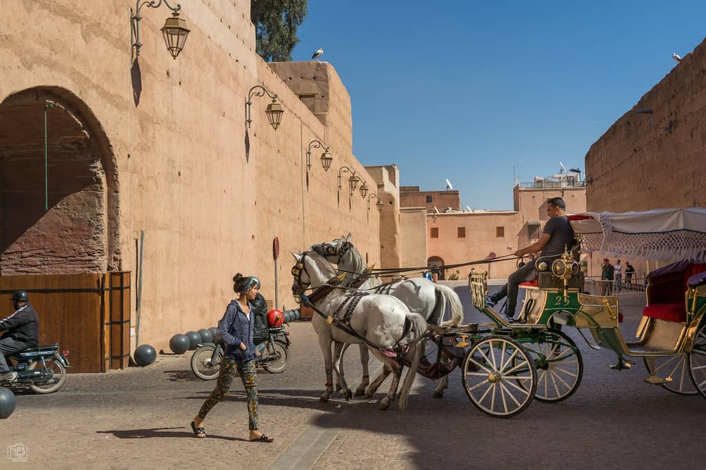 Horse Carriage Tours