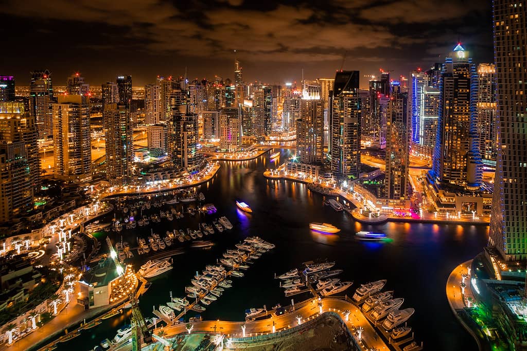 Global Culinary Delights