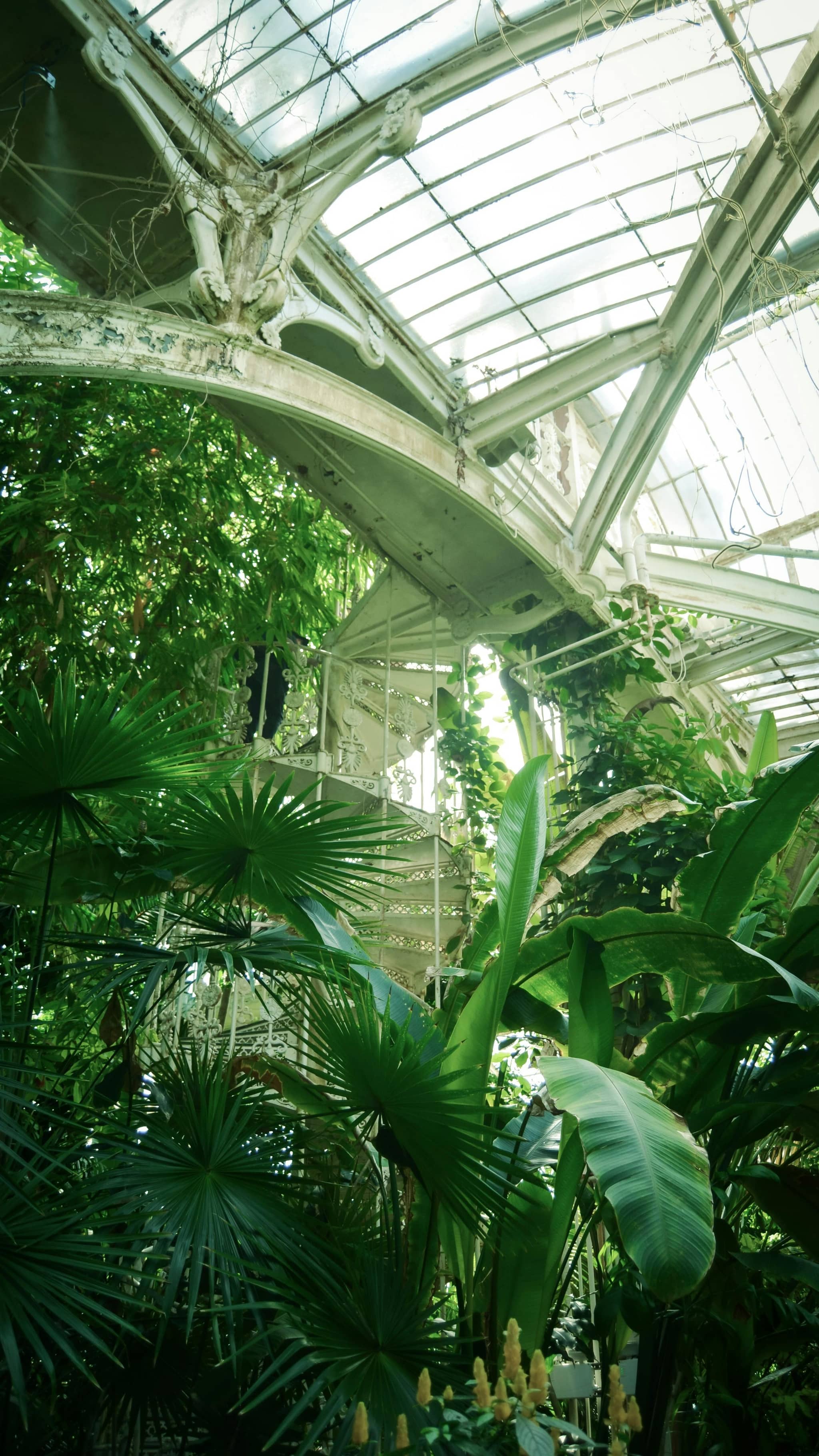 Highlights