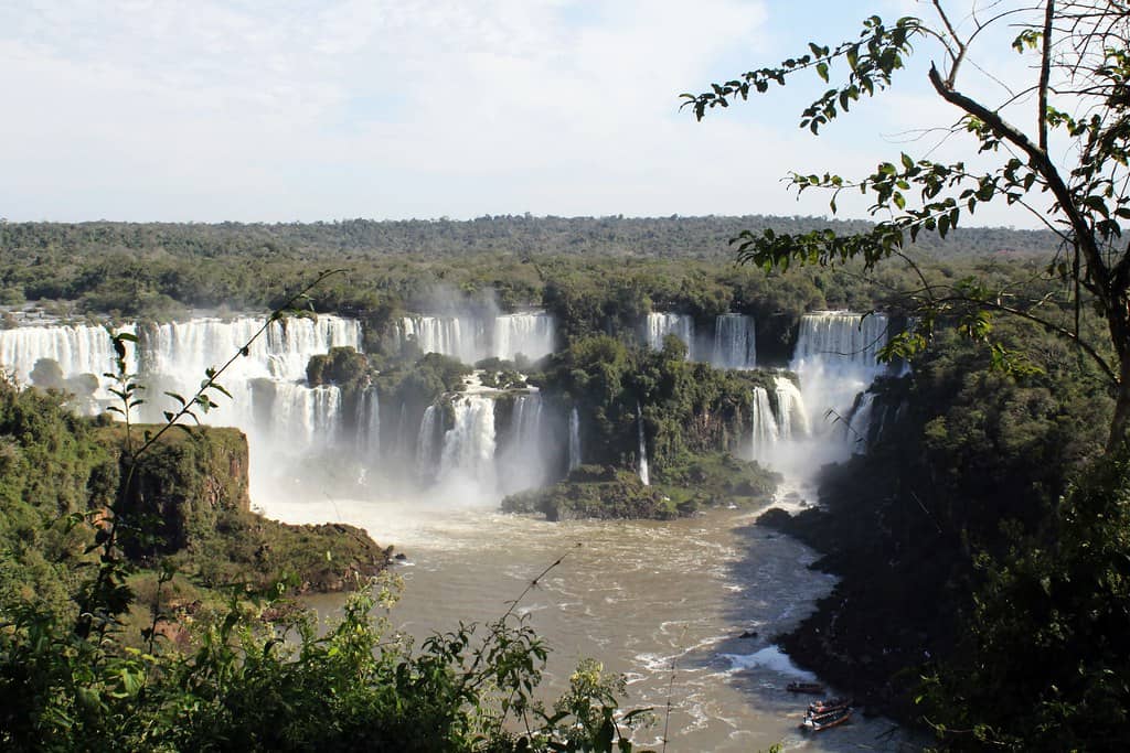 Abundant Wildlife Sightings