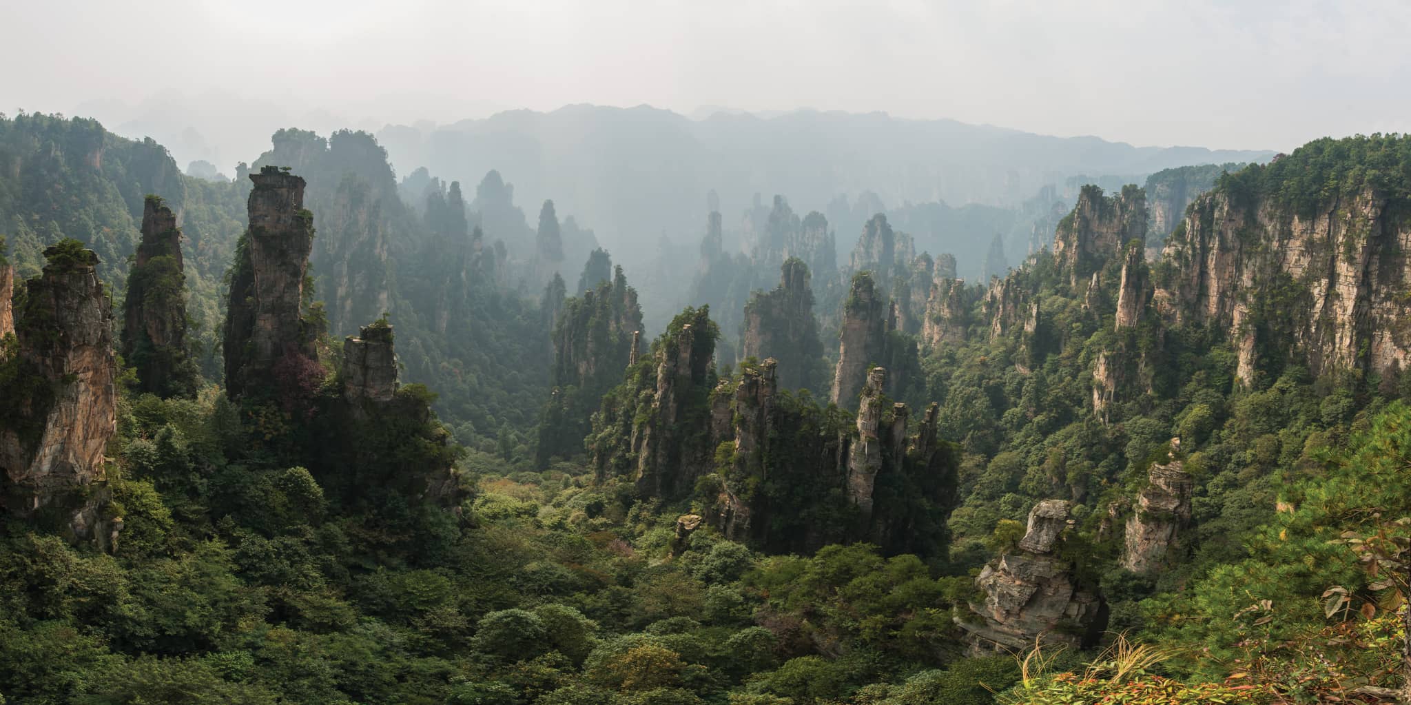 Tianzi Mountain
