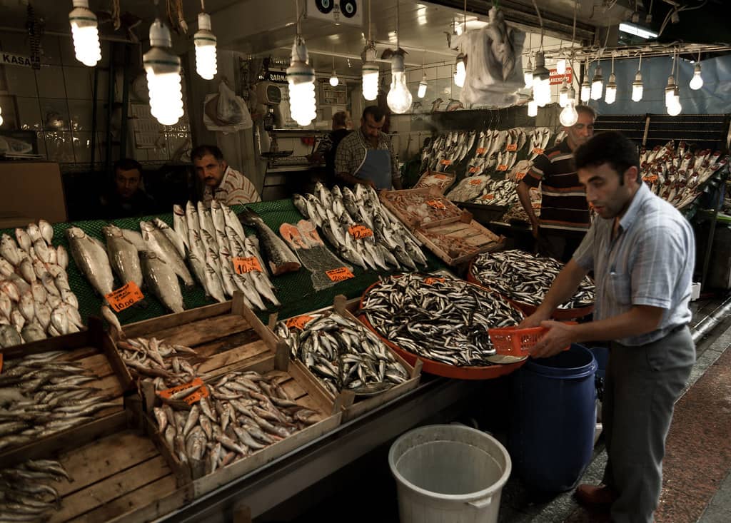 Affordable Shopping Spree