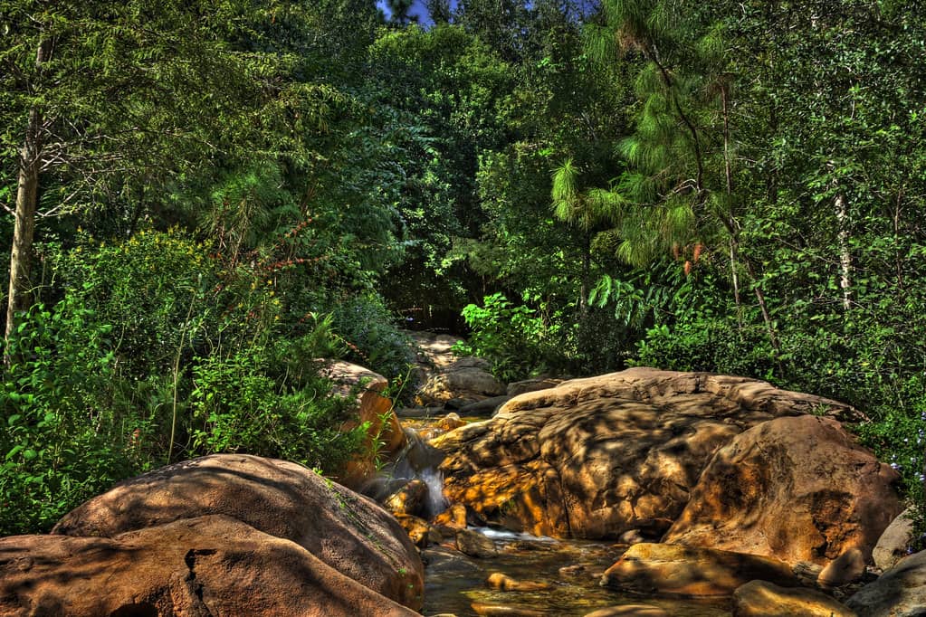 Urban Wilderness Oasis