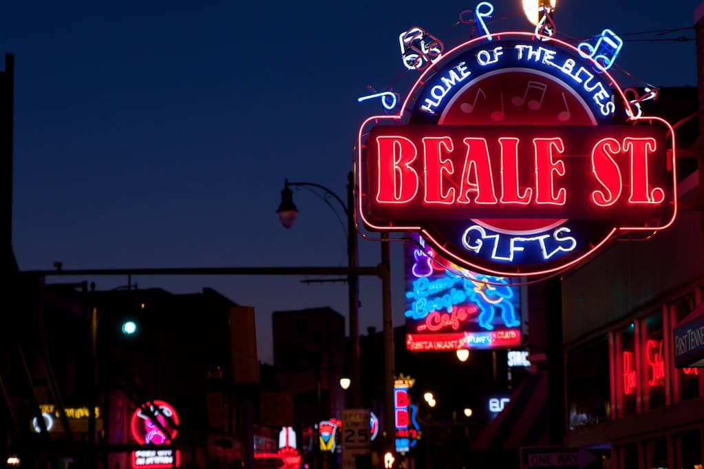 Iconic Artist Memorabilia