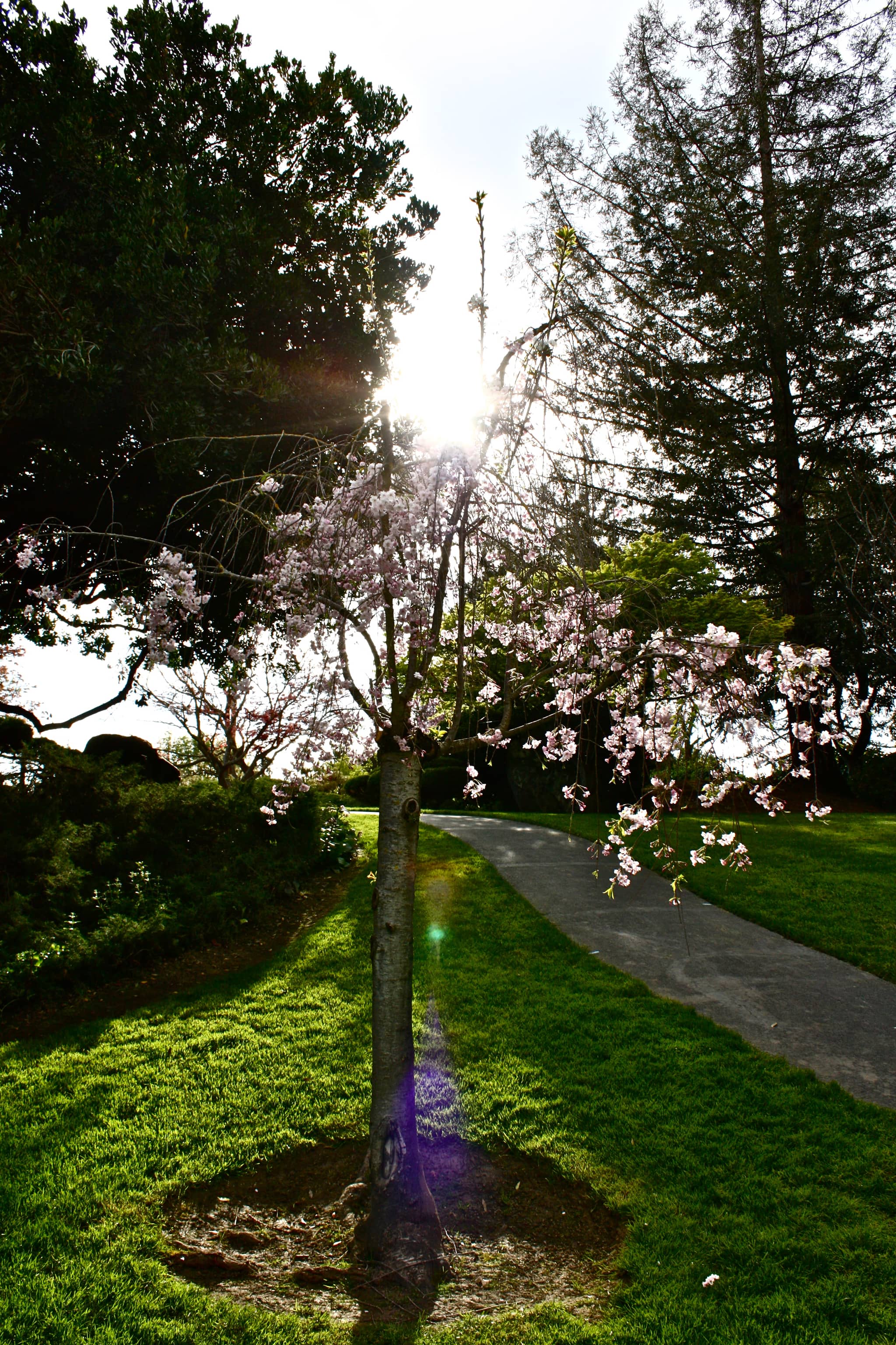 Seasonal Flower Displays