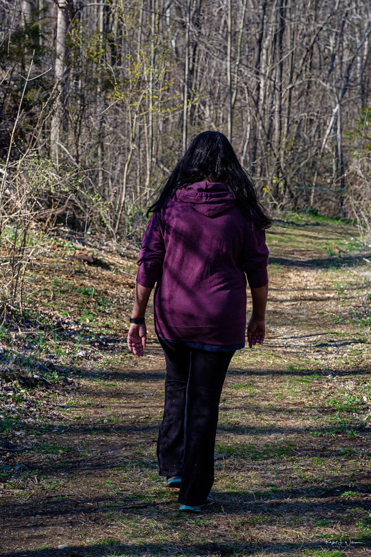 Woodland Walks