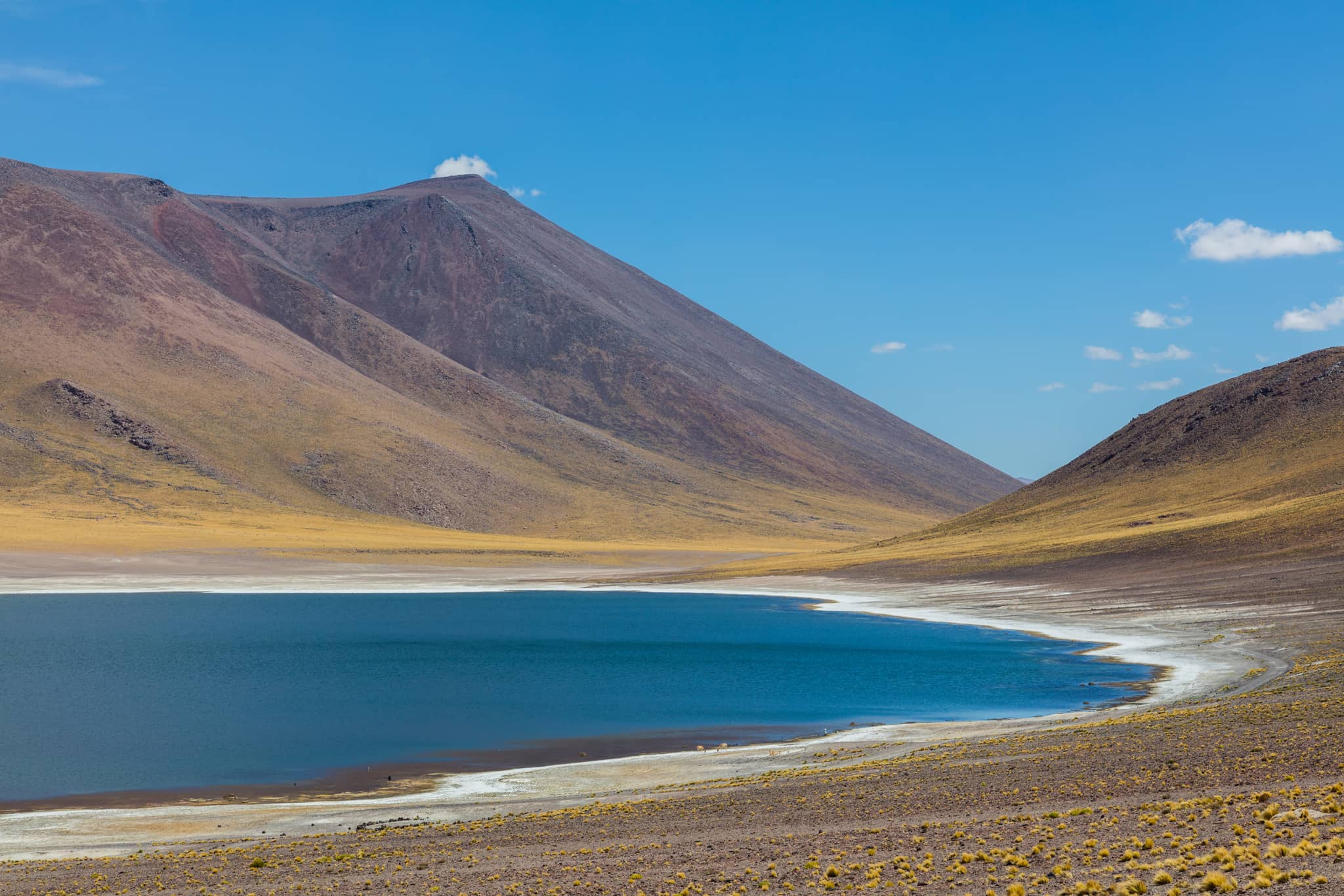 Laguna Miñiques