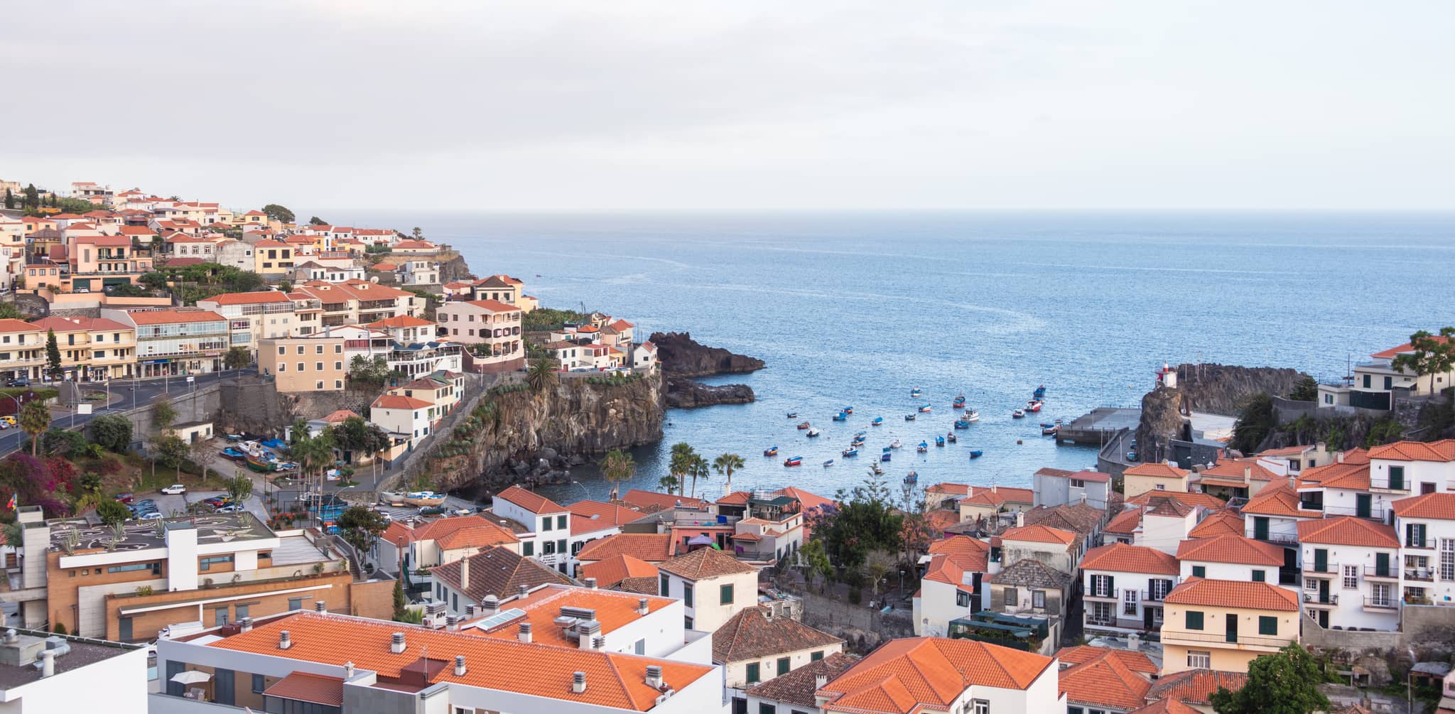 Bustling Fishing Harbor