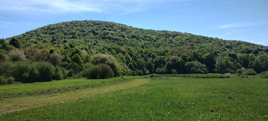 Panoramic City Views