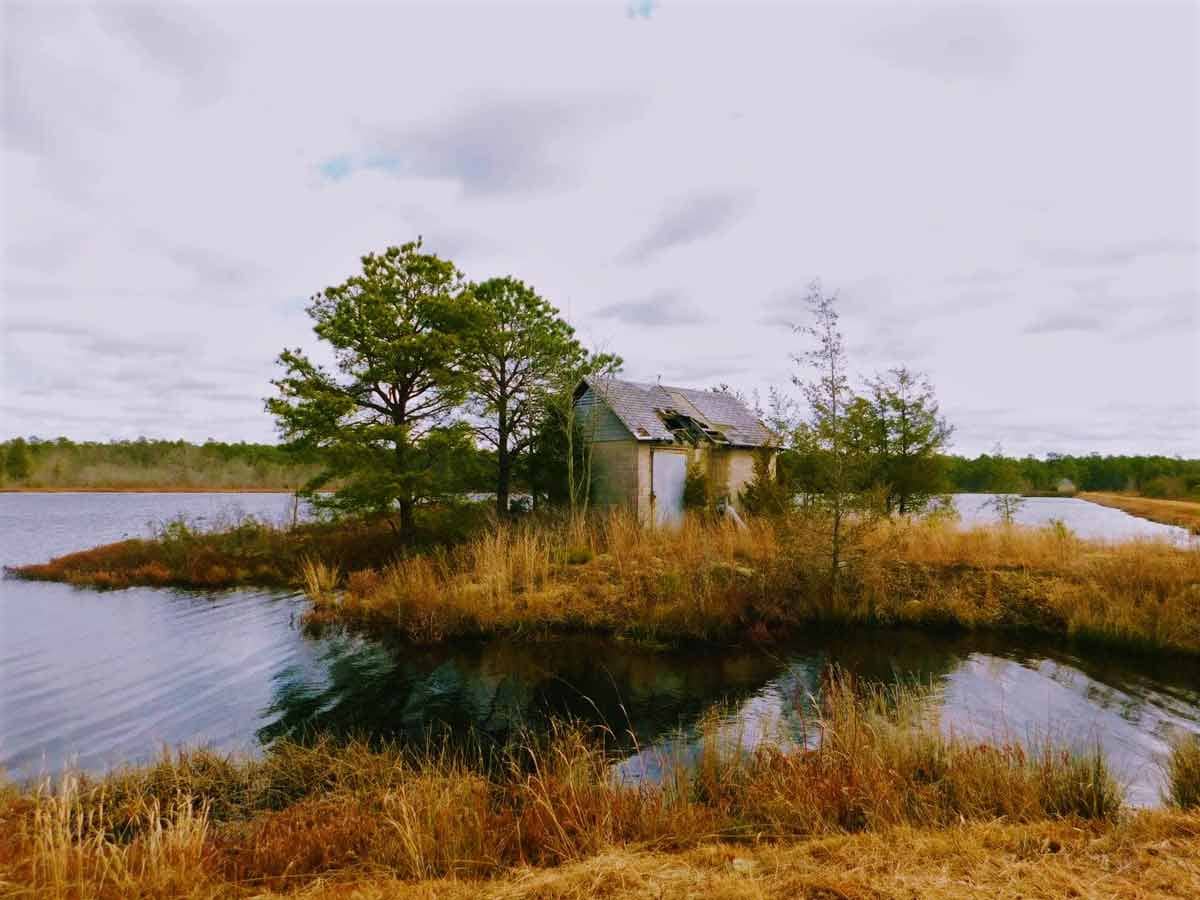 Nature House & Volunteers