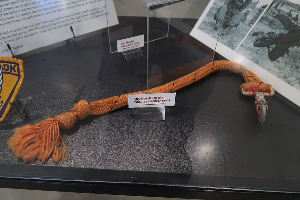 Volunteer-Led Insights