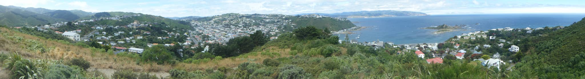 Panoramic City Vistas