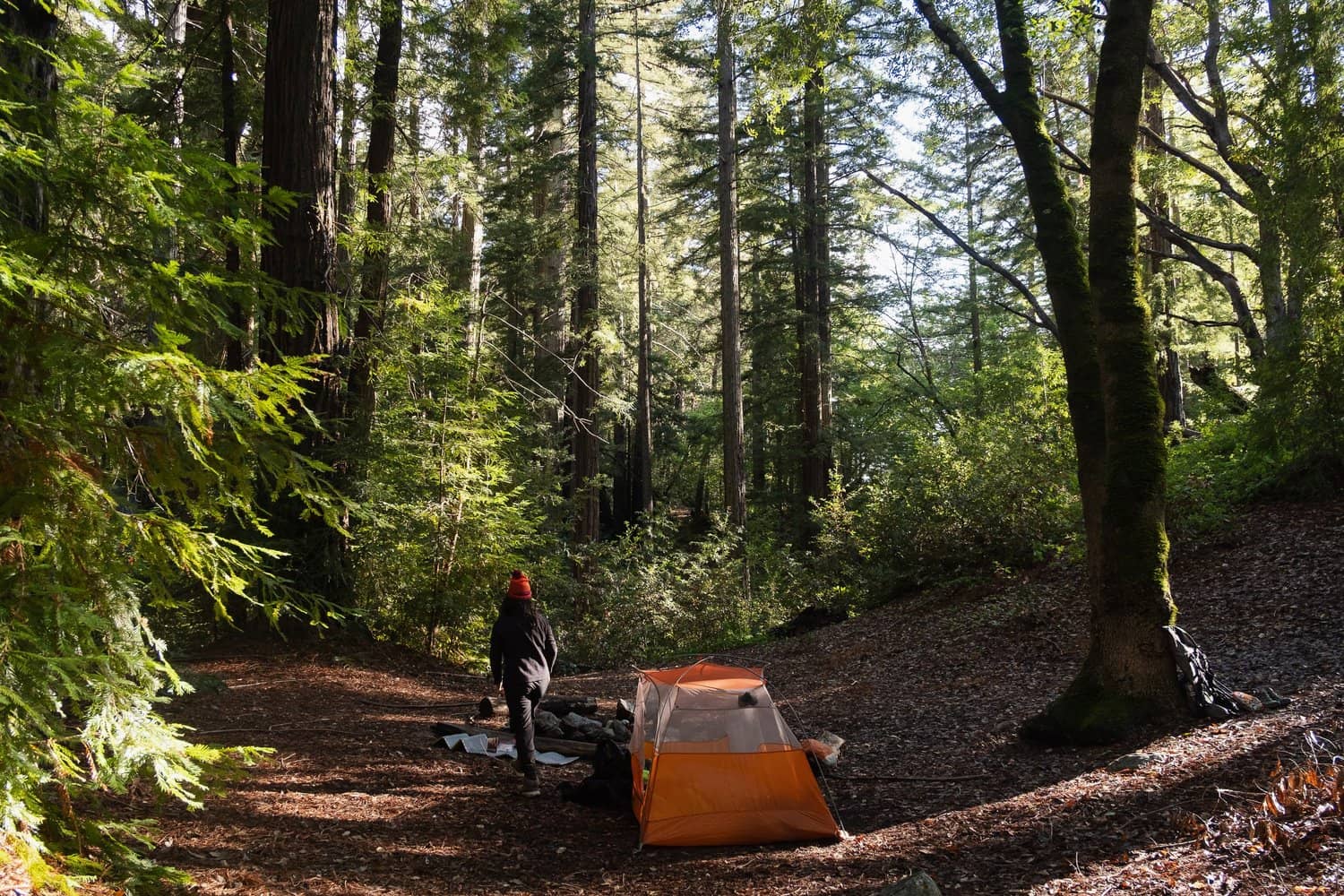 Big Easy Trailhead Access