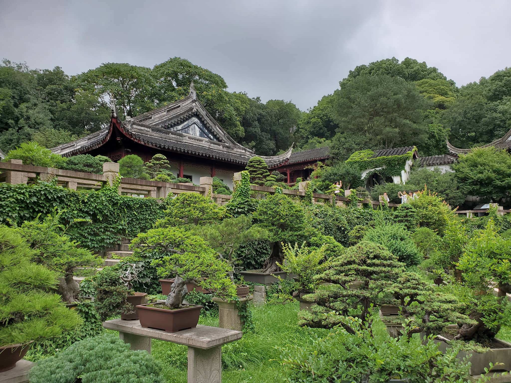 Tranquil Gardens