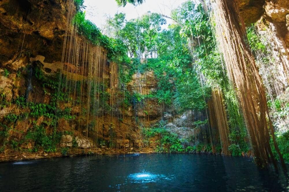 Cenote Paddleboard Tours