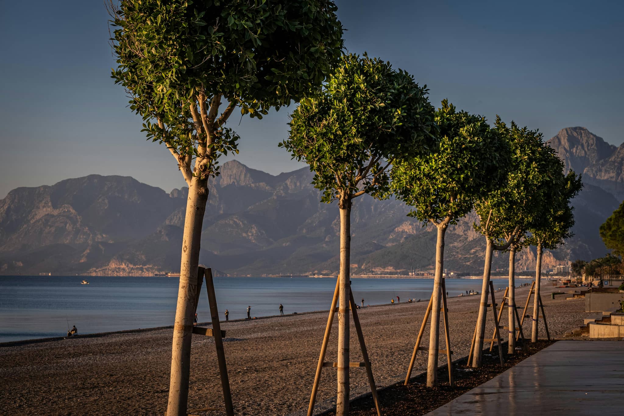 Beach Park Promenade