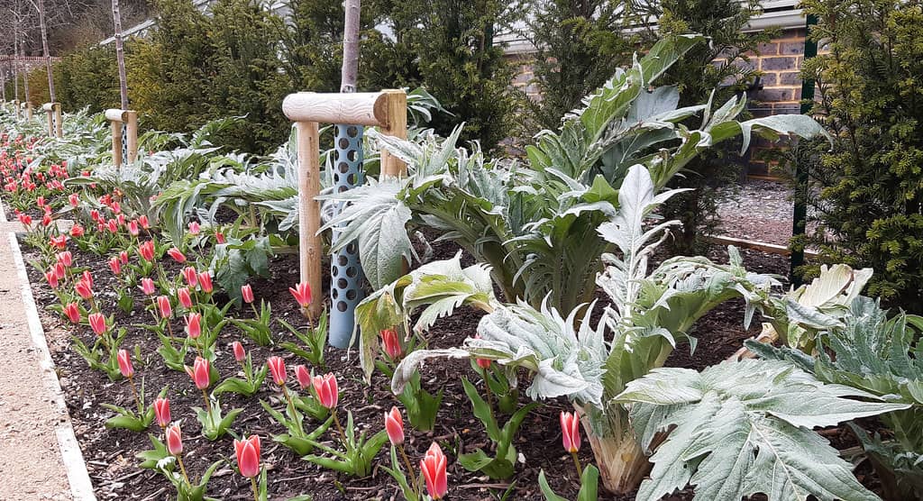 Gorgeous Gardens