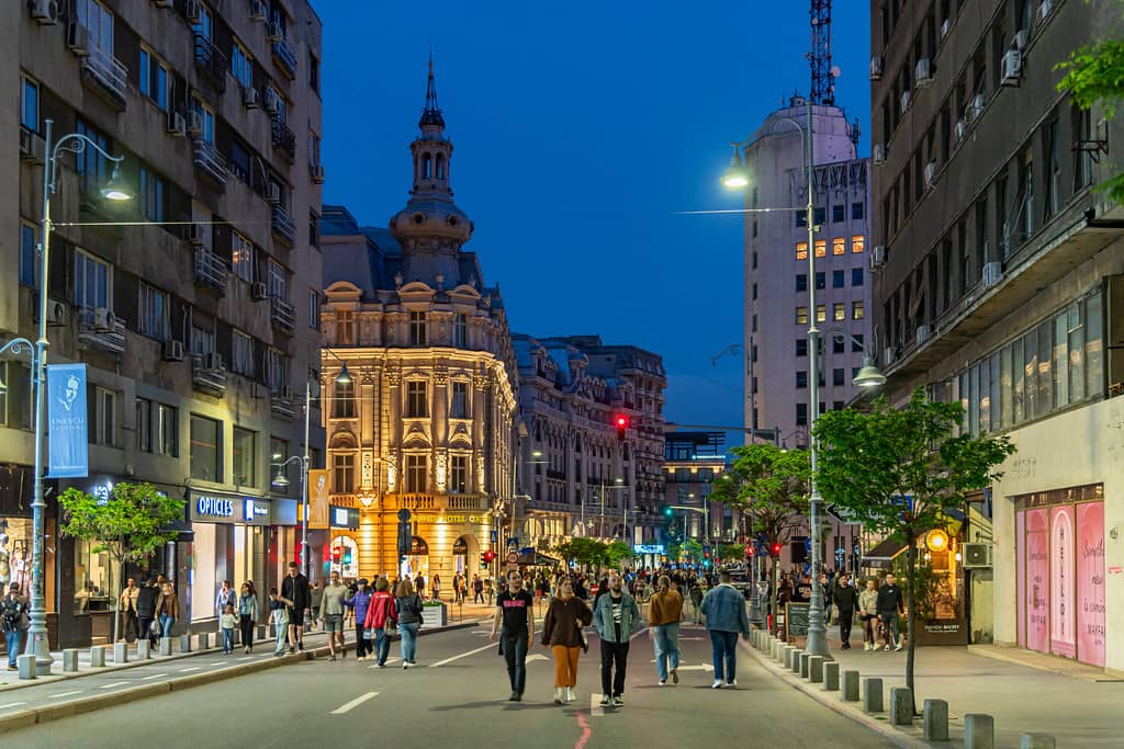 Central Bucharest Vibe