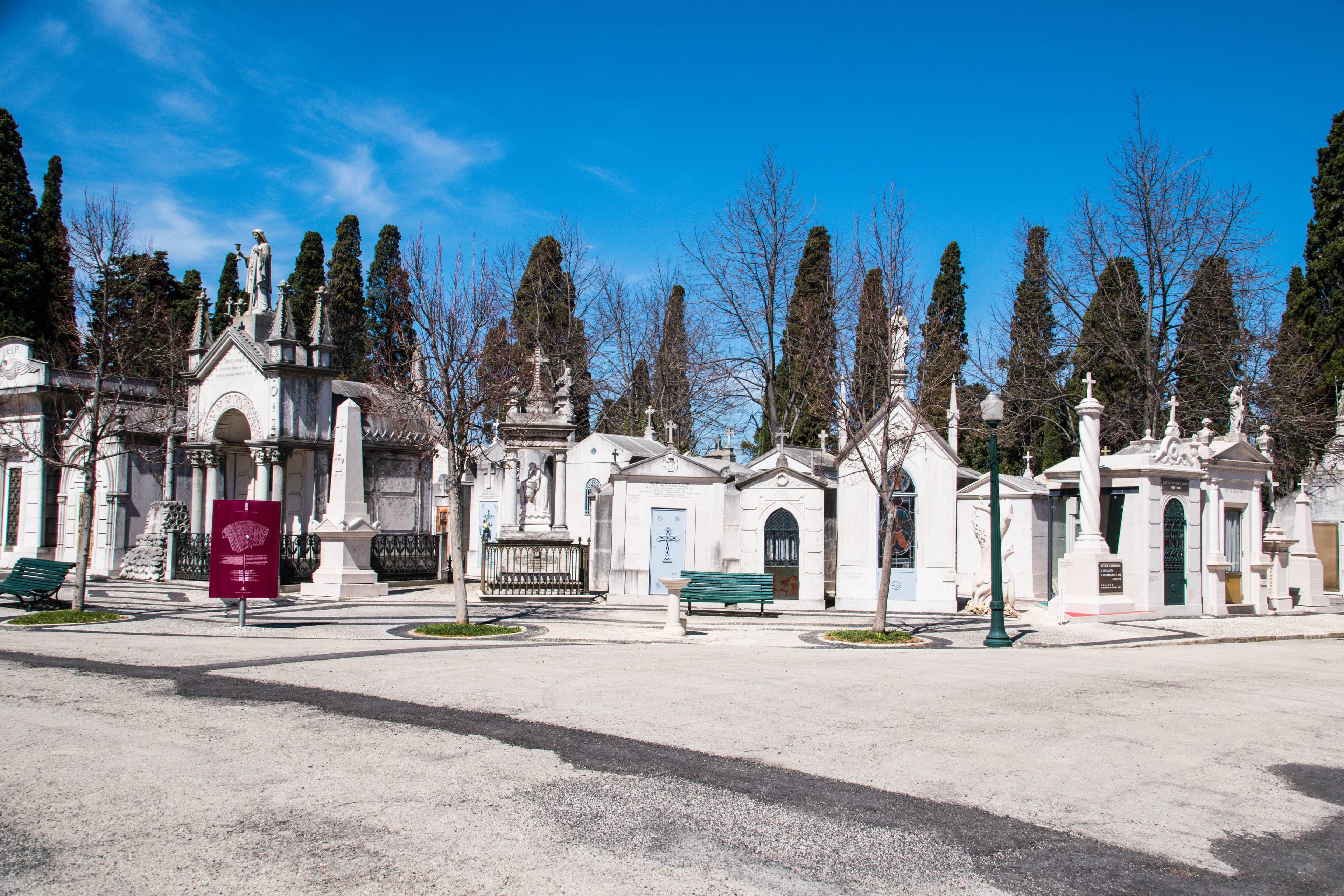 Panoramic City Views