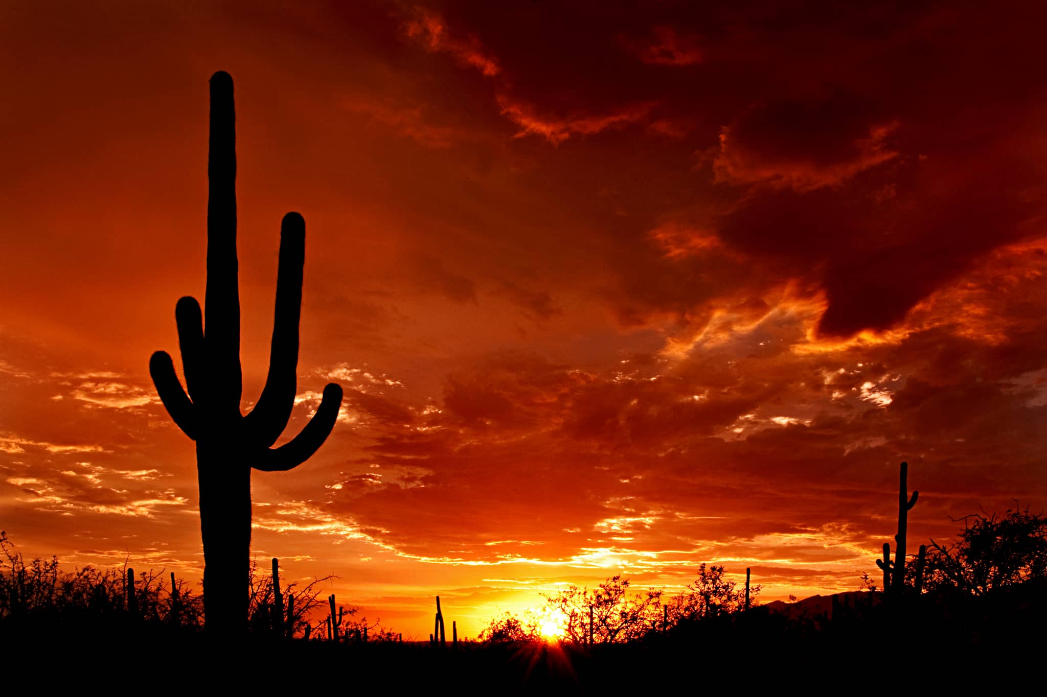 Desert Sunsets