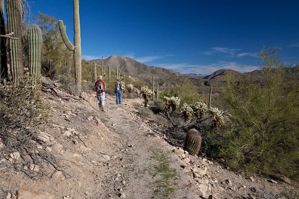 Hiking Trails