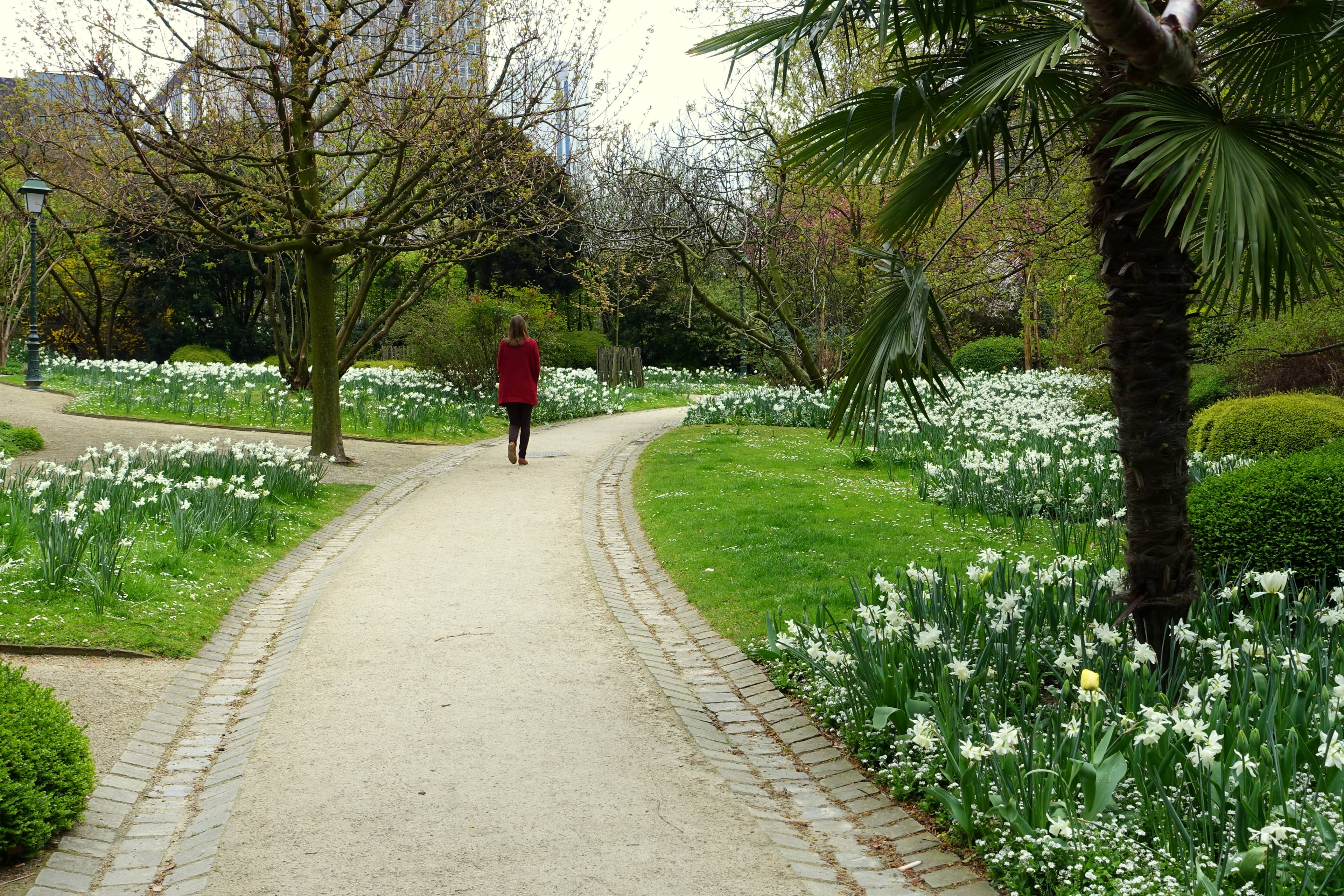 Peaceful Garden Strolls
