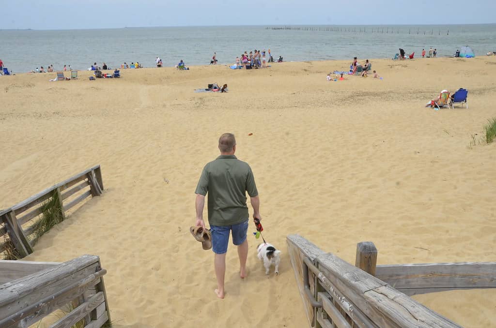 Off-Leash Dog Area & Beach