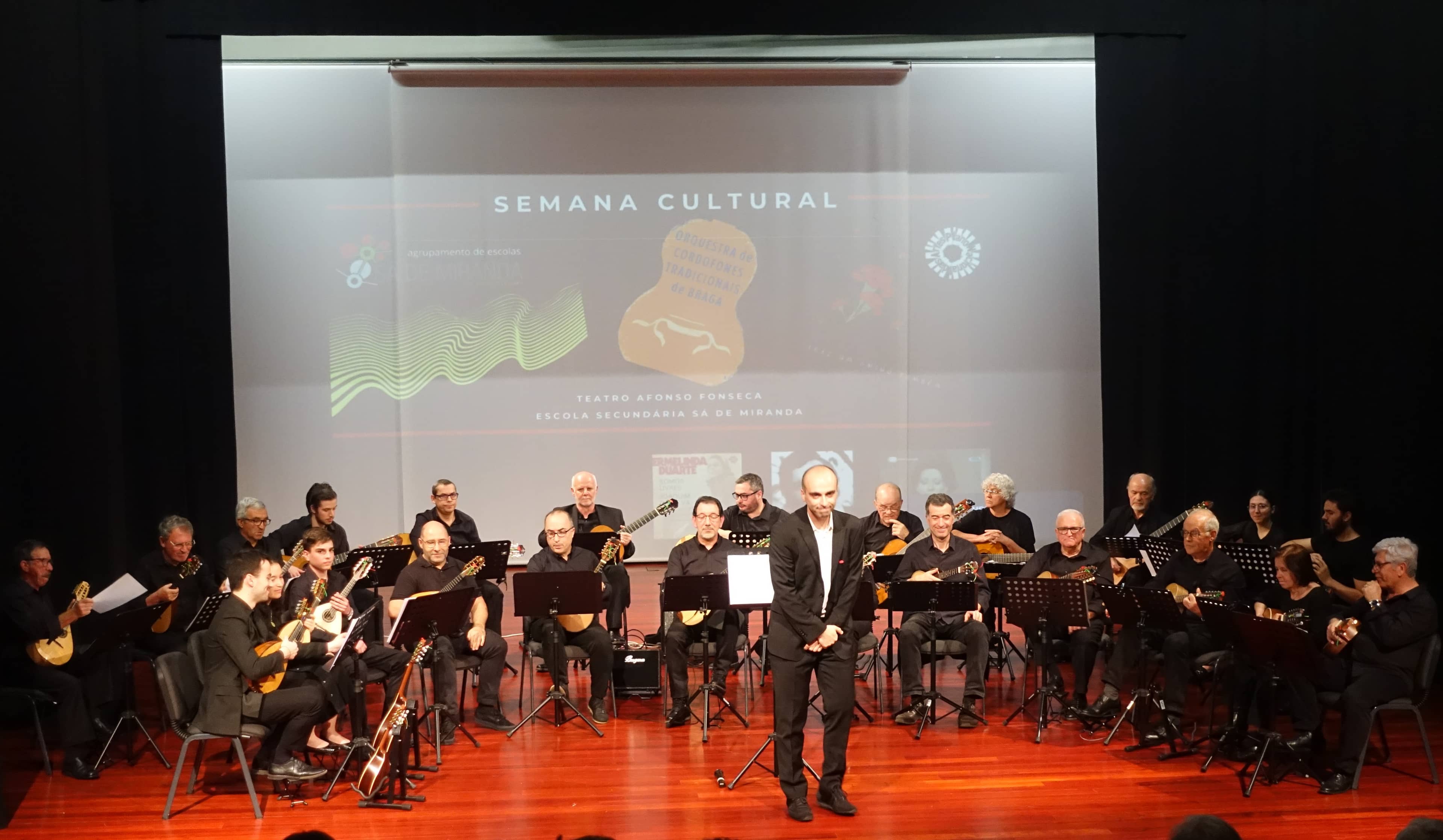 Live Music & Performances