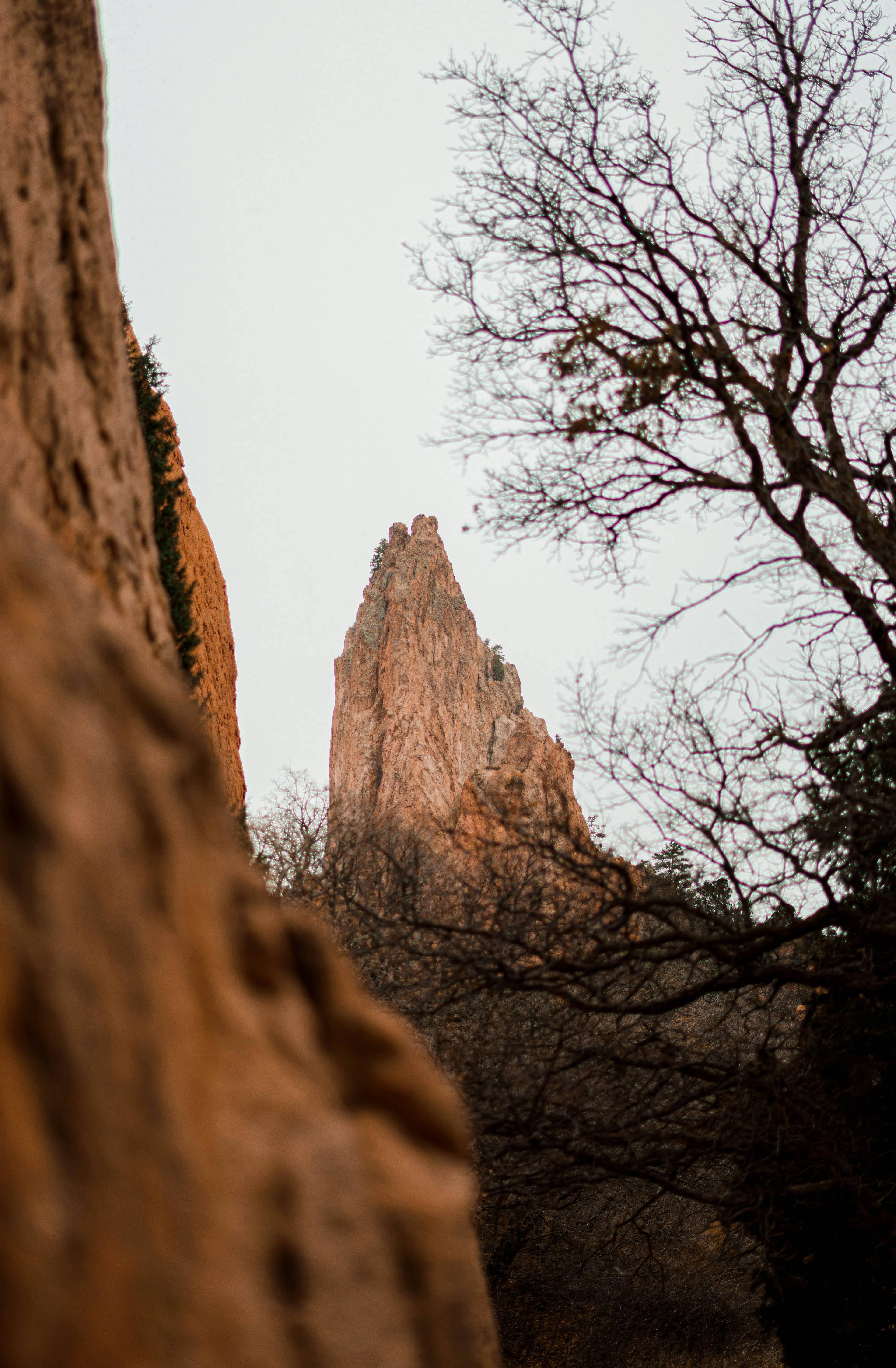 Garden of the Gods Vista