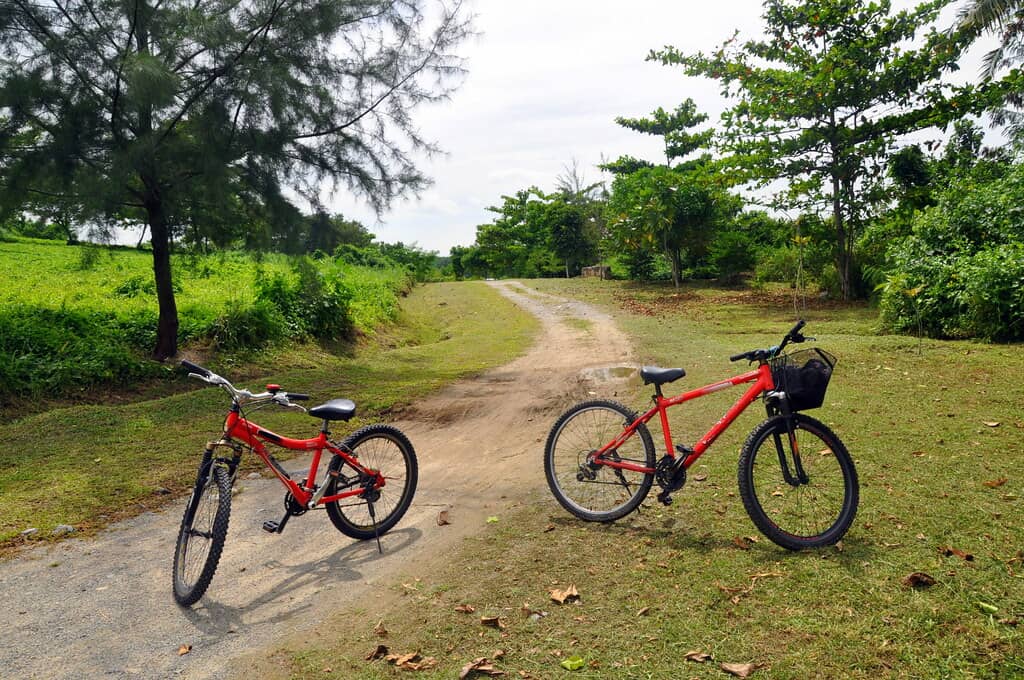 Cycling Adventures