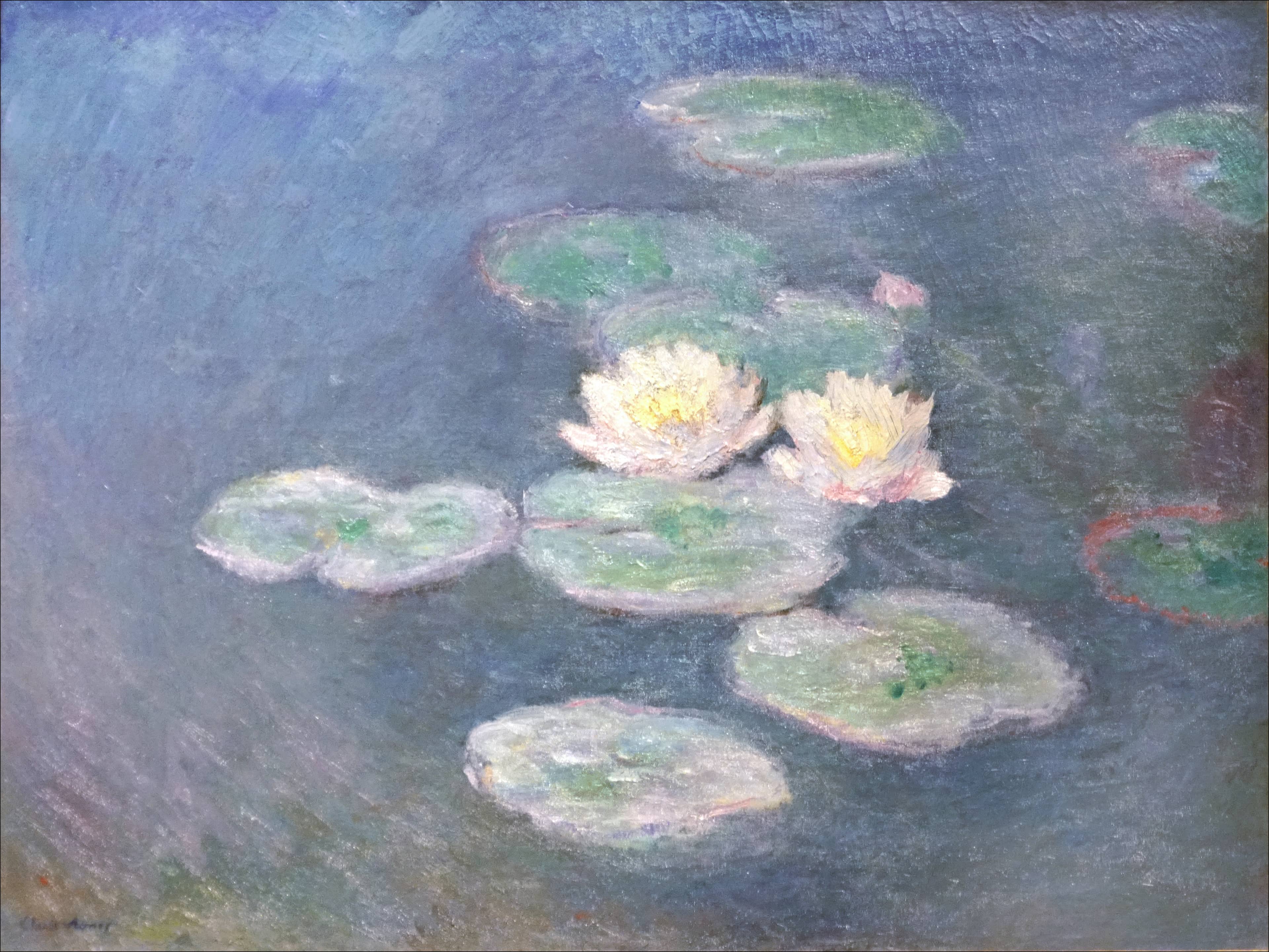 Monet's Water Lilies