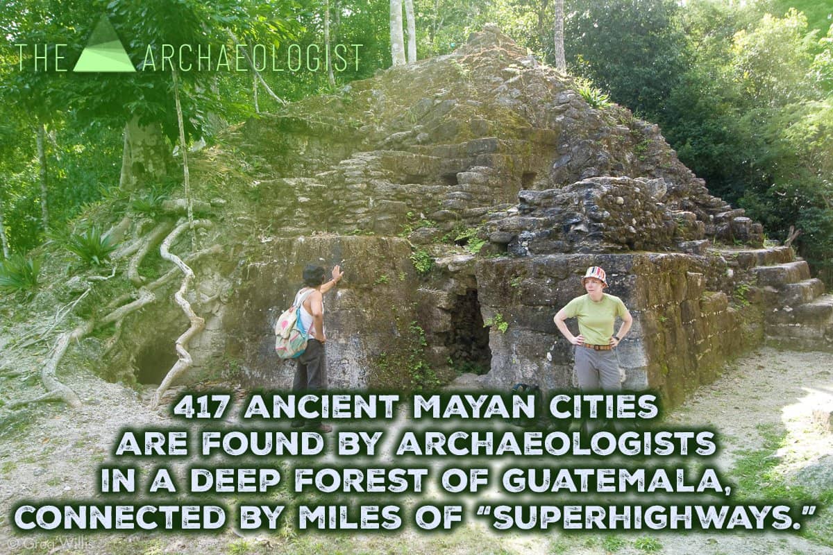 Rainforest Immersion