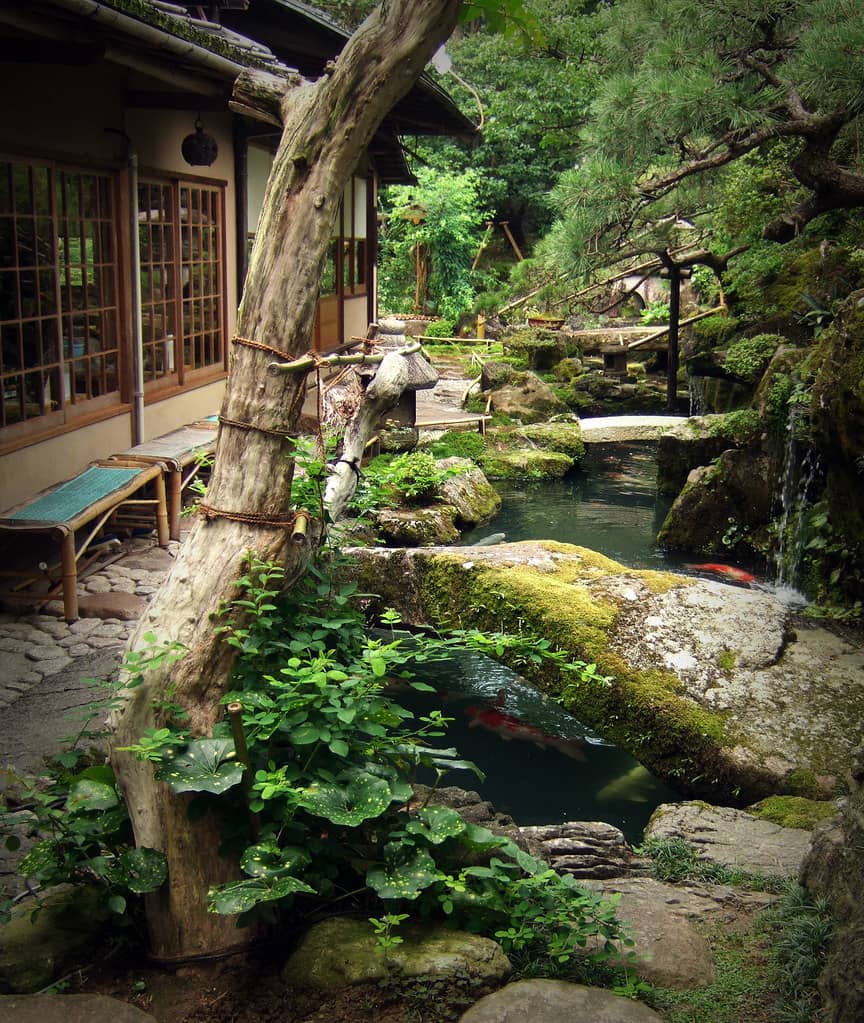 Zen Garden Serenity