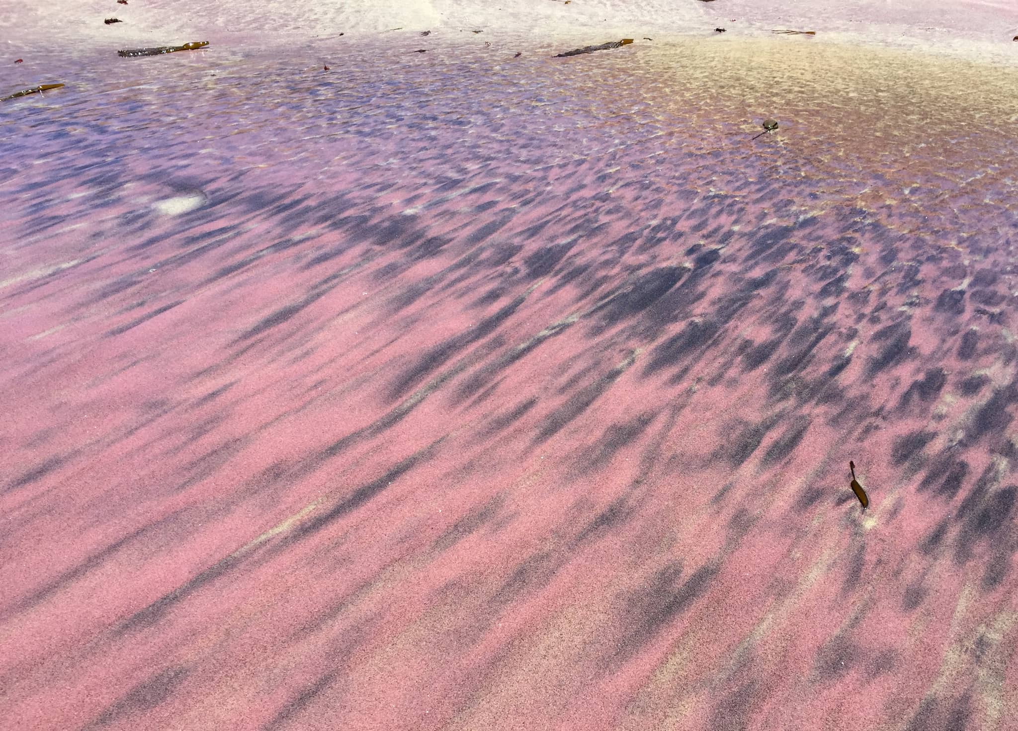Pfeiffer Beach