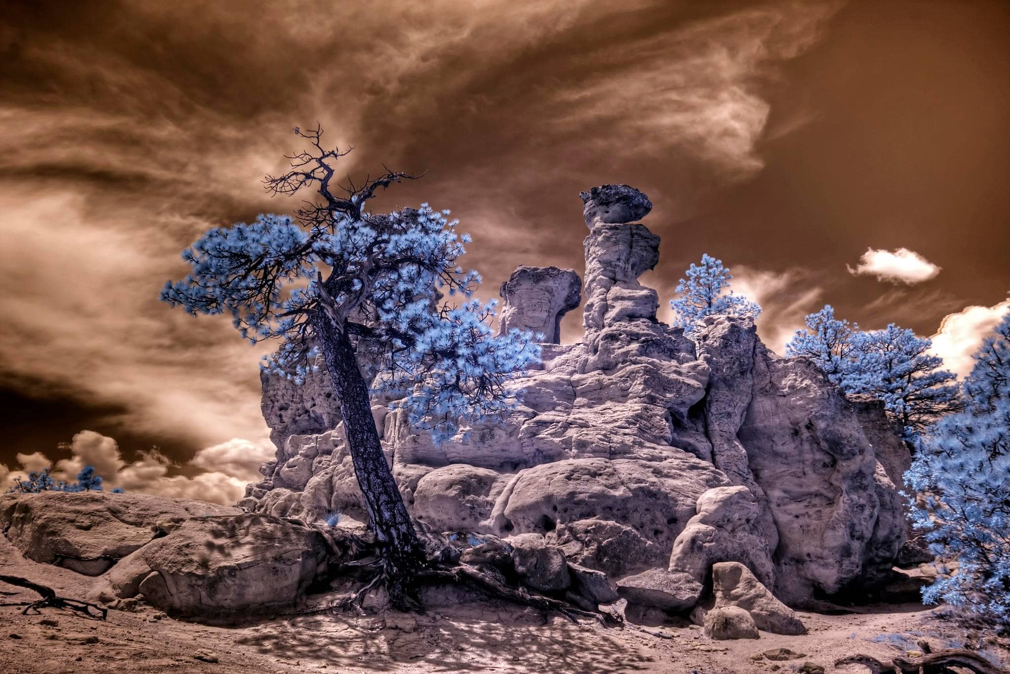 New Year's Eve Celebrations