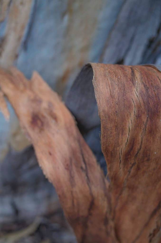 Scenic Rock Climbing